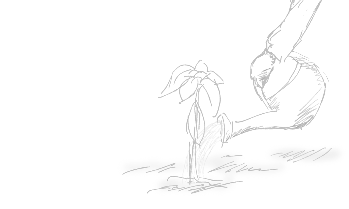   ただいま  headcanon: Shion was the one who was planting the sunflowers till