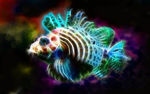 unknowneditors:  Digital illustrations by Minimoo64  The series of digital illustrations by the Canadian artist, known under the nickname minimoo64, isn’t directly related to mathematical fractals. She simply transforms usual animal portraits into glowing