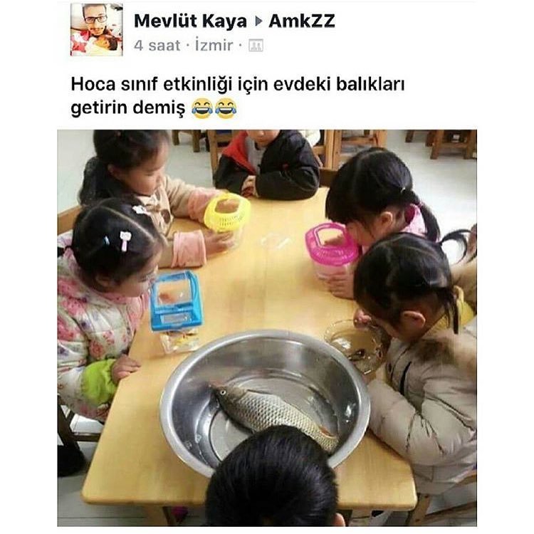 Mevlüt Kaya AmkZZ
4 saat ....