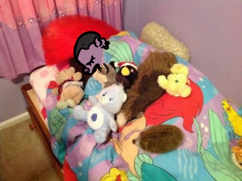 Barbs Bed Time