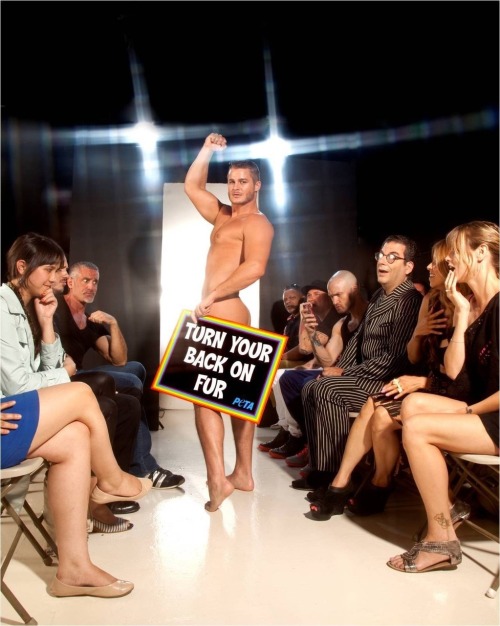 hotfamous-men:  Austin Armacost