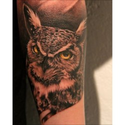 tatubaby:  Owl #tattoo #repost one of my favorites. I love tattooing animals.  Done with @fkirons #spektrahalo @fusion_ink #fusioninks @bigprick_tattoosupply @redemptiontattoocare #redemptionaftercare @stencilstuff #stencilstuff For tattoo appointments