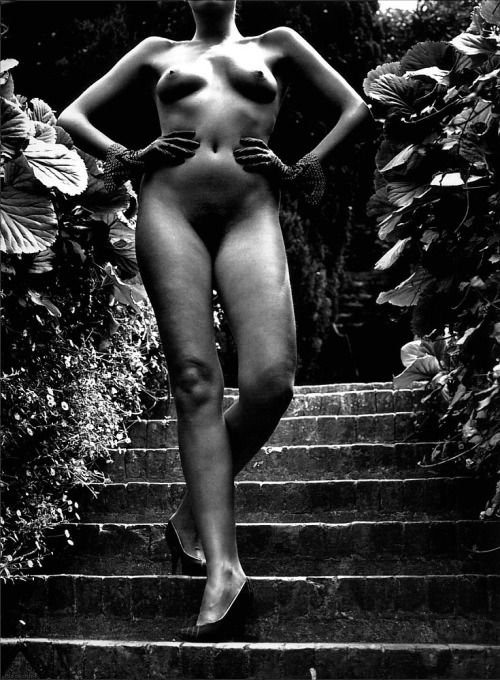 Porn Helmut Newton photos