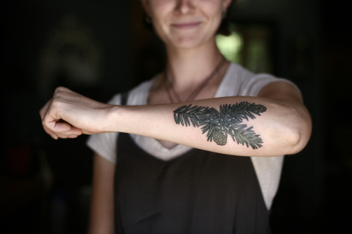 wonderlandtattoospdx:  alicecarrier:  Eastern hemlock, thank you Caty!  Alice Carrier