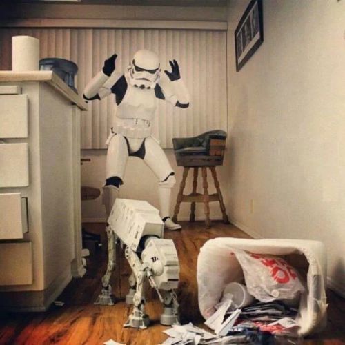 horrorsoflife: BAD PUPPY!