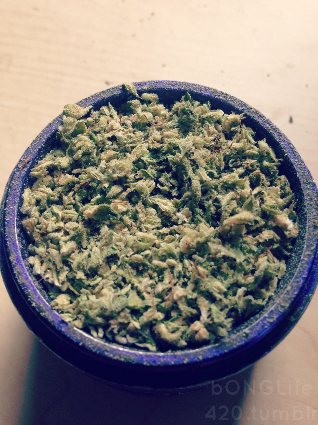 bonglife420:  Another Blunt Today