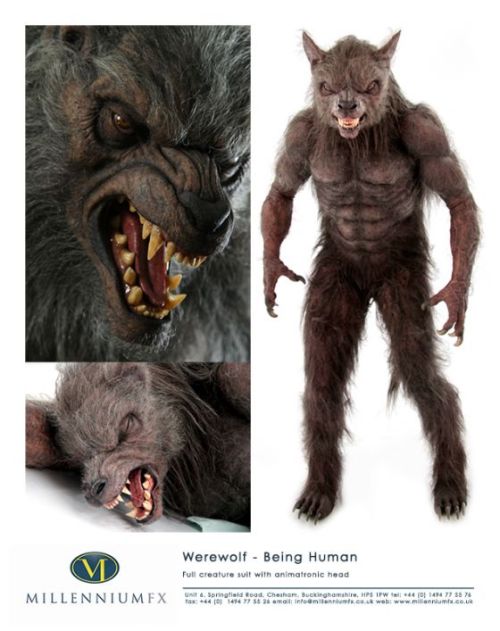 It’s so cute that he’s sleeping in that bottom left hand pic! #WerewolfWednesday