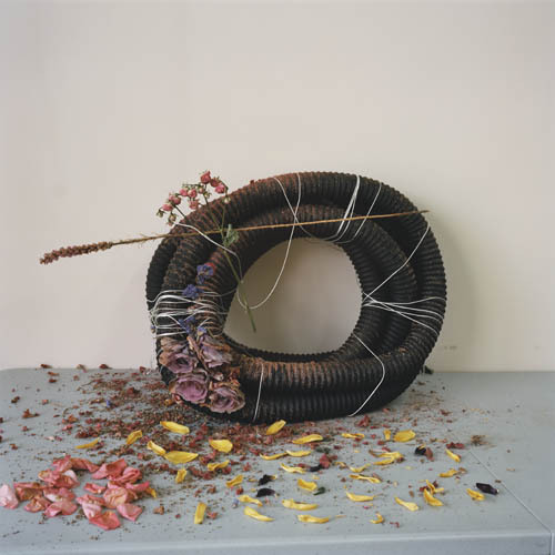 crematorie:  Camille Henrot  - Est-il possible d’être révolutionnaire et d’aimer les fleurs, 2012.