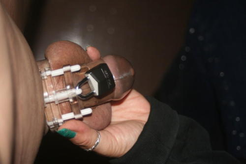 My Chastity Collection