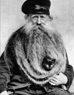 historicaltimes:  Louis Coulon In 1904, is well know for his 13 foot long beard which he held cats in. via reddit