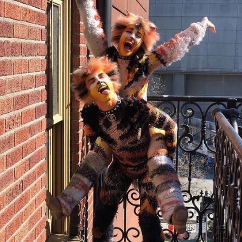 Creepypasta X Cats Musical Brainrot Lol :p