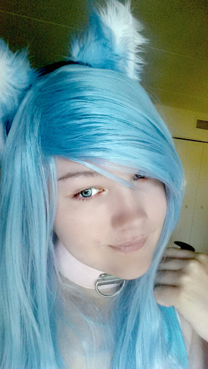 ice-vixen:  So yeah, new wig, ears, and tail.I originally got it all for a photoshoot.But I’ve been kinda giving up on my modeling lately. 