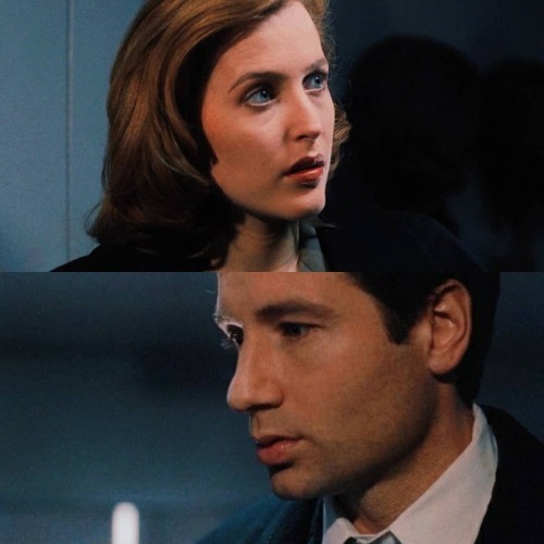 #TheXFiles #GillianAnderson #DavidDuchovny www.instagram.com/p/B-XlTa7jgGG/?igshid=l6p7l68ob