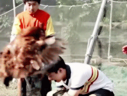 holykyungsoo:  Kyungsoo as Beomsil in Pure Love 