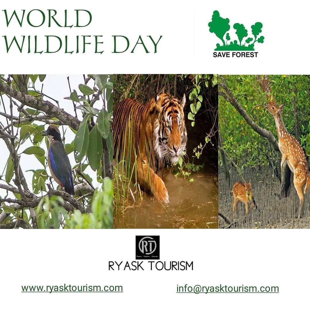 Ryask Tourism Happy World Wildlufe Day 21 Save Forest Ryask Tourism Happy World Wildlufe Day 21 Save Forest