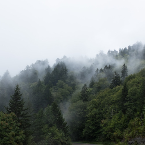 Blue Ridge Parkway. September 2015. 