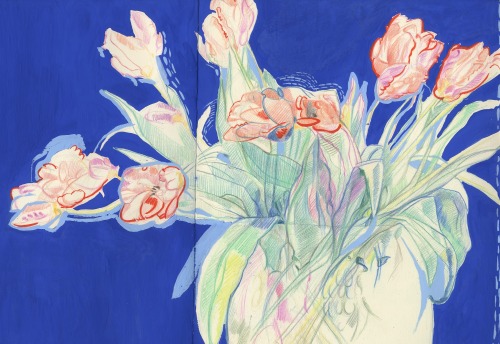 dionyssos:  Tullips , gouache , Coloured pencils #anys Mine