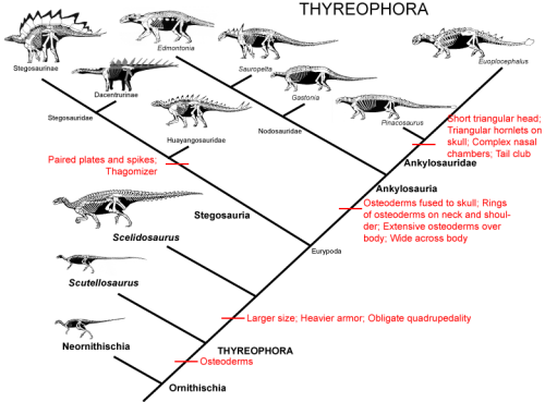 Dinosaur Cladograms, Part 1:  Evolution of the dinosaurs and their ilk.01 - Crocodilians and relativ