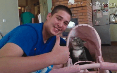 blogdehumor:  Se lo merece todas las veces que el gif se reproduzca.http://blogdehumor.tumblr.com/
