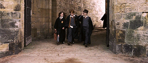 victoriaspedretti: I remember every wand I’ve ever sold, Mr. Potter. It so happens that the phoenix whose tailfeather resides in your wand gave another feather… just one other. It is curious that you should be destined for this wand when its brother