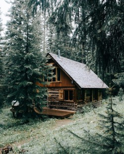 wild-cabins:Forrest Smith