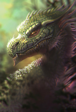 Here ♥ Be ♥ Dragons