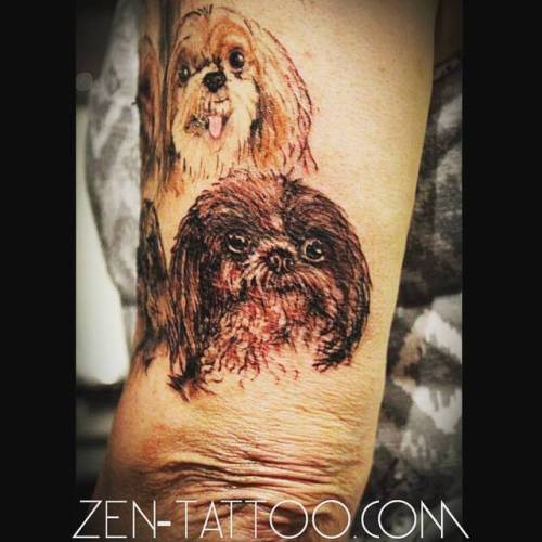 Minimalistic Shih Tzu portrait tattoo located on the