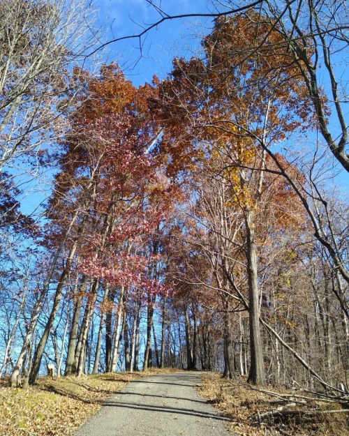 Hike #45 - Fort Duffield State Park, West Point, KY. Fort and Red Trail loop, ~3.7 miles Contrary to