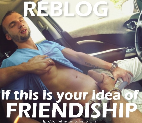 walkinghardon:  dontellheriambi:  DontellherIamB: choose your starter pack bisex
