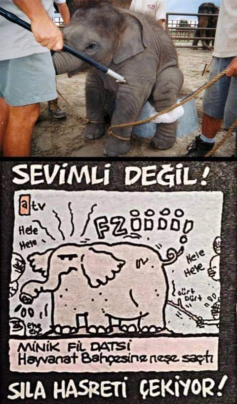 Sevimli değil sıla hasreti...