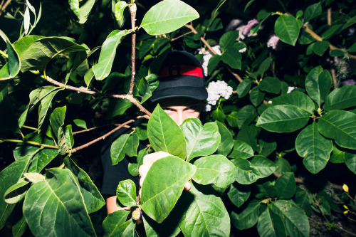 AUSSIE DJ&rsquo;S IN THE BUSHES by Voena