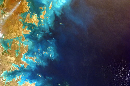digg:  Space, man.