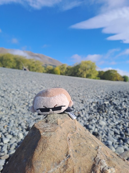 He Found A Special Egg (a Rock, Don't Tell Him)!