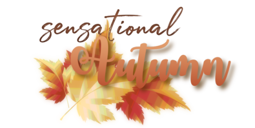 some transparent banners I’ve made for my own blogs! @artspvce, @qhlow, @sensational-autumn, @b1ythe