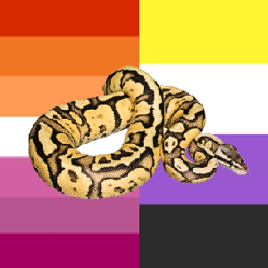 boa vs python lesbians