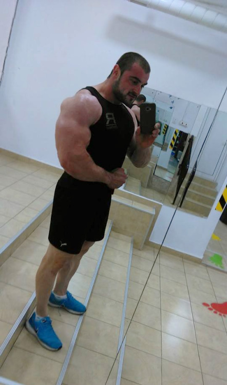 Serbian Muscle Men adult photos