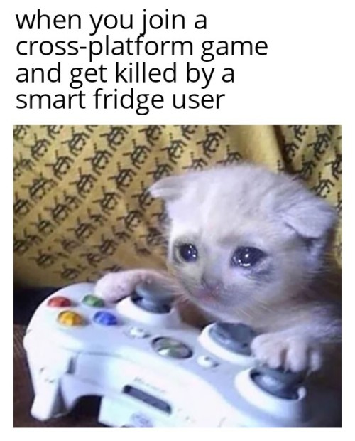 dailydankness