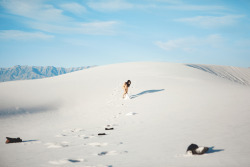 ardenwray:White Sands, New Mexico