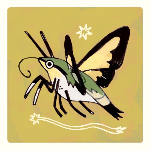 Clearwing Hummingbird Moth