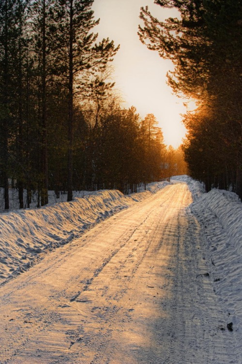 decepticun:  Lapland Light | Kristin Repsher   