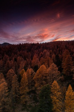 Alecsgrg:  Sweet Dream At Sunset | ( By Maria Adele Pezzanesi )  