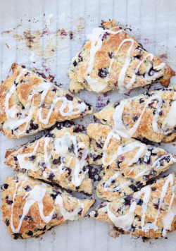 verticalfood:  Wild Blueberry Scones with