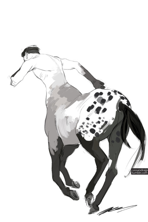   Cassandra Jean  