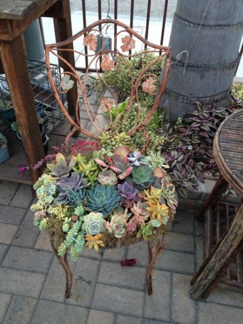 boredpanda:  15+ Ways To Recycle Your Old Furniture Into A Fairytale Garden  