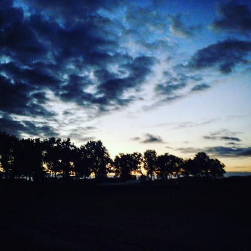 #clouds #trees #goinghome #cycling #sky