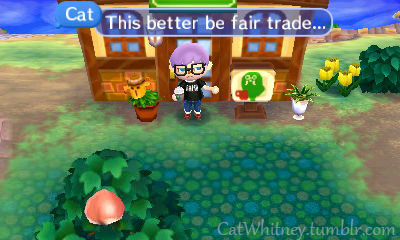 sunnythetragic-clown:   catwhitney:  So today I was a hipster in Animal Crossing