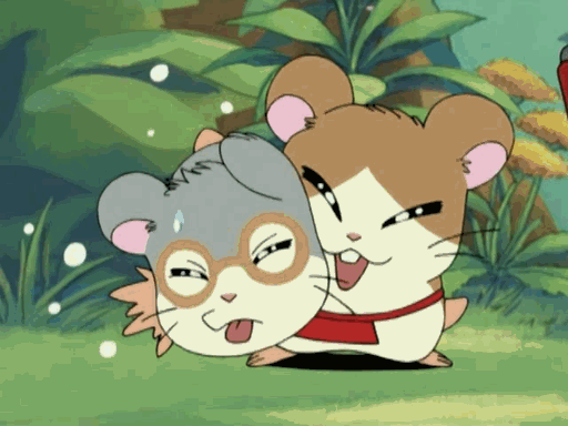 moments in hamtaro.