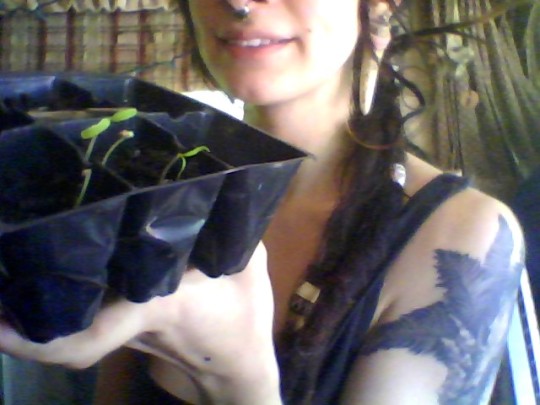 wolftea:  mid morning coffee cheers to you all from Washington… promise that’s  not an angry face… its a ‘ i take my morning coffee way too seriously  face’ Cheers nonetheless. Gearing up for another large etsy upload, been working to get at