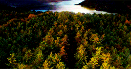 harrypottergif:  Closing Shots