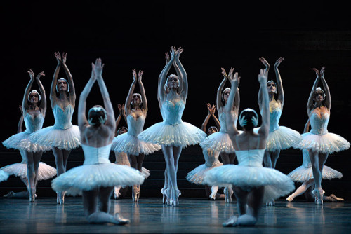 strechanadi:  Paris opera ballet Le lac des cygnes photo: Benoite Fanton 